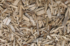 biomass boilers Crouchers